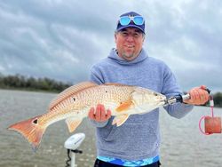 Redfish: Champions of the Marsh