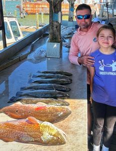 Two redfish measuring 20 inches caught in Hitchcock