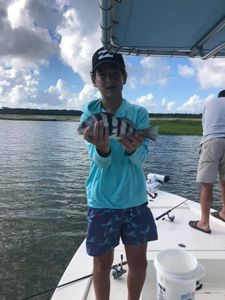 Proud angler holding a black drum fish caught in Holmes Beach