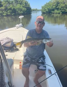 A picture of a 18-inch snook caught while fishing in FL.