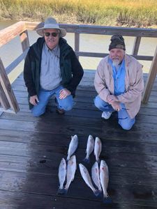 5 fish caught in FL during fishing