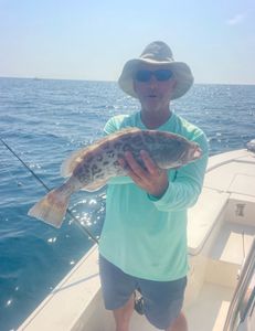 A Gag Grouper caught while fishing in FL