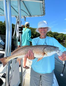 Redfish catch in FL