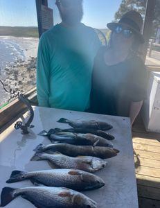 Redfish caught in Holmes Beach