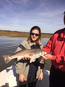 Redfish caught in Holmes Beach, Florida