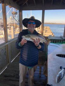 Redfish caught in Holmes Beach, Florida