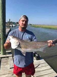 Redfish caught in Holmes Beach, Florida