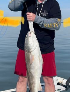Redfish caught while fishing at Holmes Beach