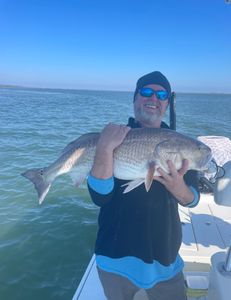 Redfish caught in Holmes Beach, Florida