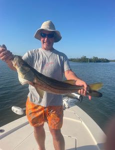 Snook fish caught while fishing in FL