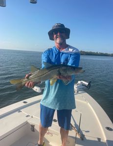 Snook fish caught in Holmes Beach