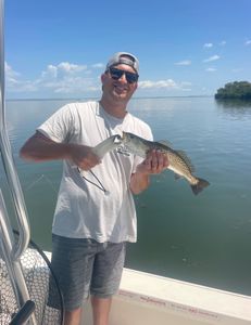 Spotted weakfish caught while fishing in Holmes Beach