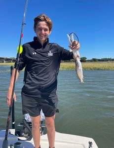 Spotted Weakfish caught in Holmes Beach