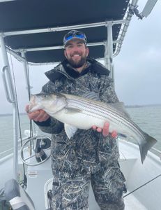 Reeling in the catch today in Lake Texoma
