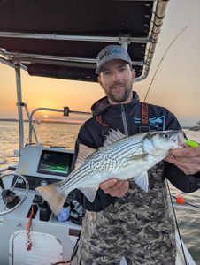 Sunrise bites and striped bass delights! 🌅🎣