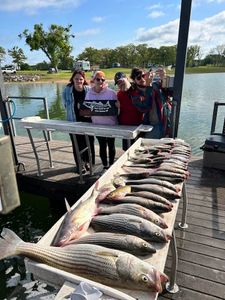 Striped bass limit! 🎣 
