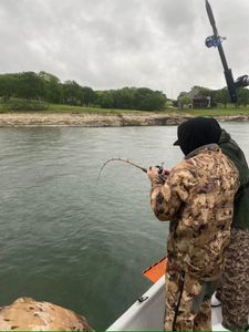 Fish on! 🎣 #BoatFishing