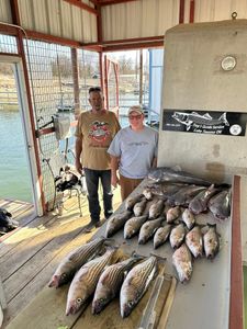 Lake Texoma striped bass haul! 🎣