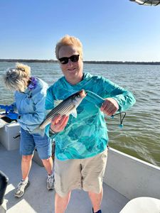 Striped bass smiles!