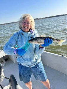 Striped bass joy! 
