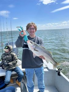 Nice striped bass!
