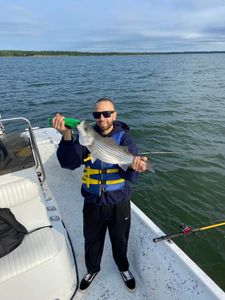 Striped Bass Fishing in Lake Texoma