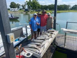 Large Striped Bass hooked from Lake Texoma