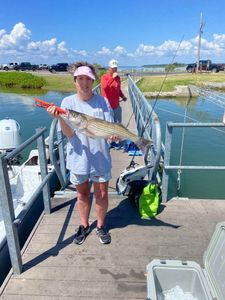 Striped Bass Fishing in Lake Texoma