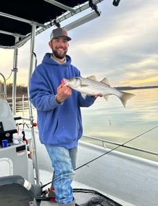 Unleash your inner angler, Striped Bass