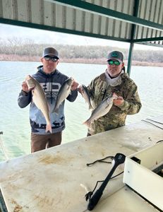 texoma fishing, Lake Texoma beauty