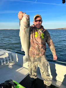  Lake Texoma Striper Fishing