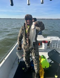 Lake Texoma's treasures