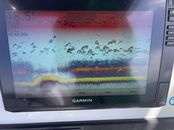 Storms brewing, but the fishing's hot in Madill with these deep sea tactics!
