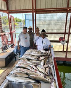 A group of 4 people fishing in Madill