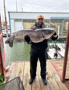 A blue catfish, 32 inches long, caught while fishing in Oklahoma.