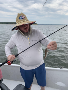 Nice channel catfish caught using deep sea jigging technique on the lake today!