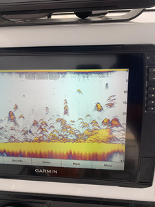 Sonar showing fish activity below - perfect conditions for deep sea jigging and drift fishing today!