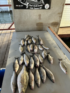 Fresh catch of the day!
