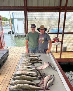 Channel catfish and blue catfish caught by two anglers in OK