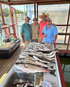 Two striped bass, 47 inches, caught by 4 people in Madill