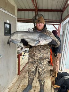 Impressive catch of a blue catfish measuring 27 inches