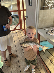 Relaxing day on the patio with the latest catch.