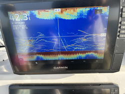 Spotted some promising spots on the sonar, now to see what's biting.