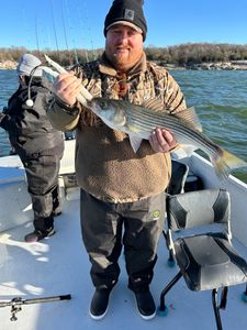 Striped bass fish caught in OK