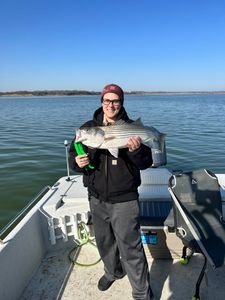 Striped bass fish caught by two people in Madill