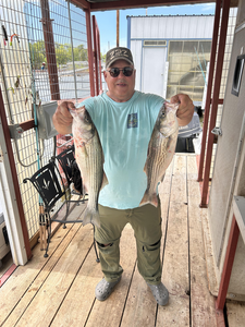 Double trouble: Two Striped Bass caught in stormy Madill!