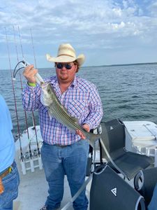 Striped bass caught while fishing in OK