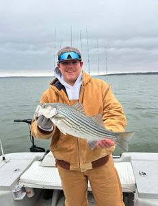 Striped bass fishing in OK
