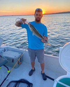 Striped bass caught in Madill