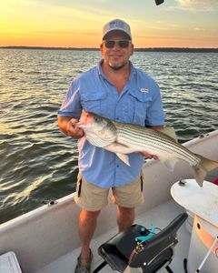 Striped bass caught in Madill